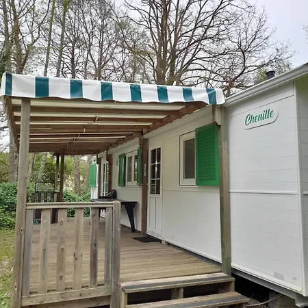 Du Nizour * Sireuil (Charente)