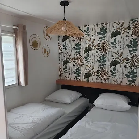 Du Nizour Sireuil (Charente)