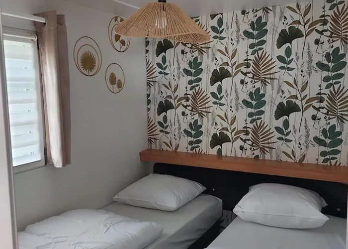 Du Nizour Sireuil (Charente)